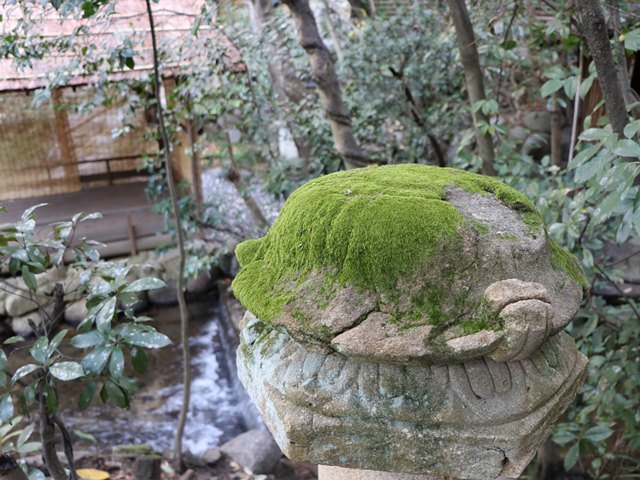 道後温泉ふなやの宿泊記