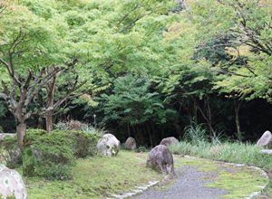 チェックアウト