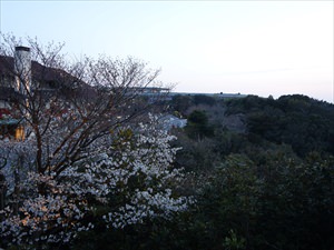 人気のお部屋