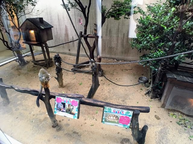 ザ・ビーチタワー沖縄の館内施設（ミニ動物園）