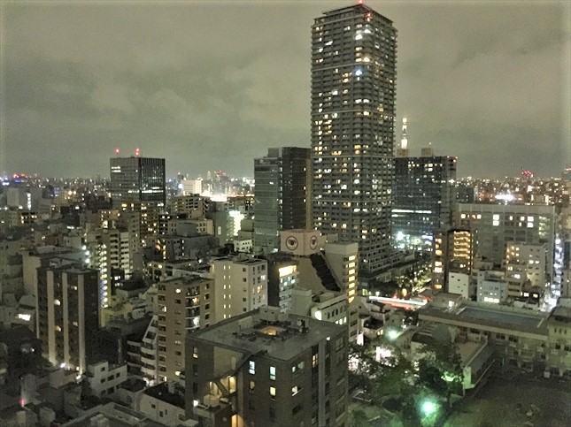 ロイヤルパークホテルから見える夜景