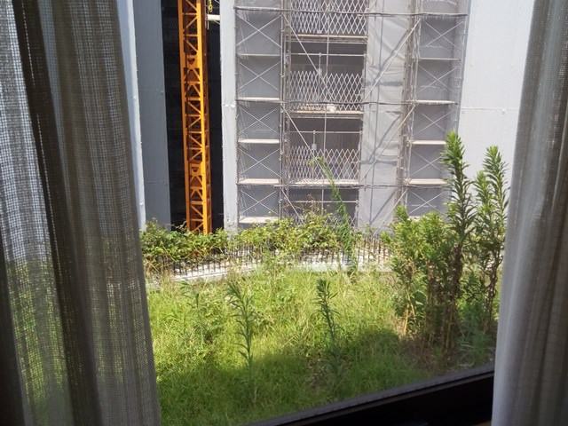 ホテルグランヴィア和歌山の客室から見える景色