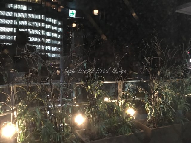 センチュリオンホテルレジデンシャルキャビンタワーの景色