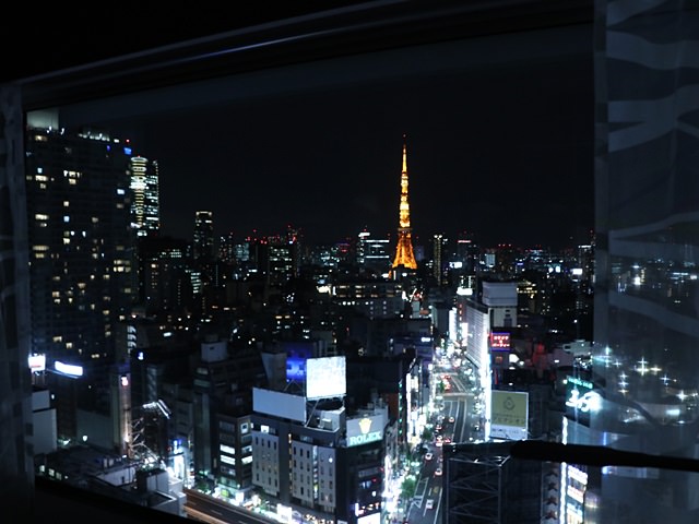レム六本木の景色の口コミと評判