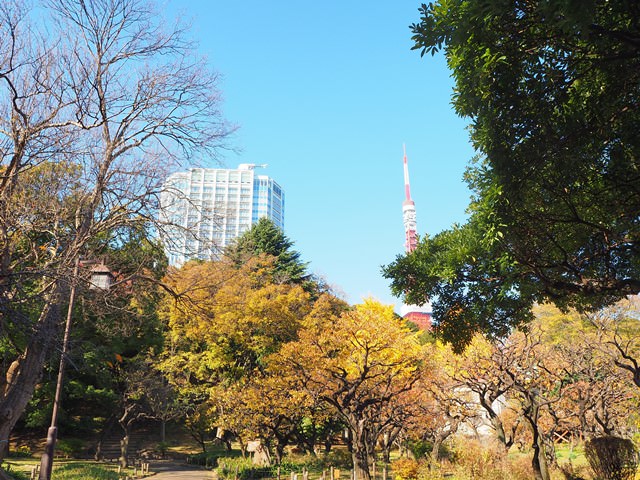 スカイラウンジステラガーデン （ザ・プリンス パークタワー東京）