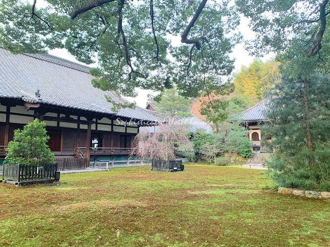 青蓮院門跡